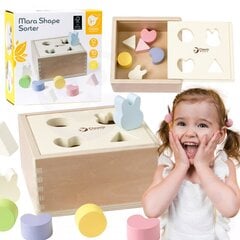 Puidust sorteerija Classic world цена и информация | Игрушки для малышей | kaup24.ee