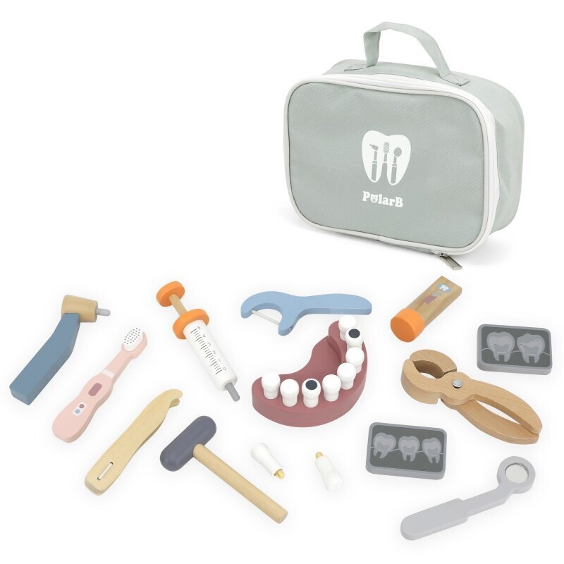 Puidust hambaarstikomplekt lastele kotis Viga PolarB hind ja info | Tüdrukute mänguasjad | kaup24.ee