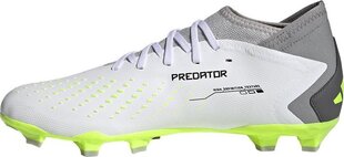 Бутсы футбольные Adidas Predator Accuracy.3 FG, размер 45 1/3, серого/зеленого цвета цена и информация | Футбольные бутсы | kaup24.ee