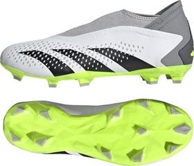 Jalgpallijalatsid Adidas Predator Accuracy.3 LL FG, suurus 45 1/3, hall/roheline цена и информация | Футбольные бутсы | kaup24.ee