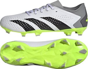Бутсы футбольные Adidas Predator Accuracy.3 L FG, размер 47 1/3, серого/зеленого цвета цена и информация | Футбольные бутсы | kaup24.ee