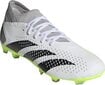 Adidas jalgpallijalatsid Predator Accuracy.3 FG, suurus 46, hall/roheline цена и информация | Jalgpallijalatsid | kaup24.ee