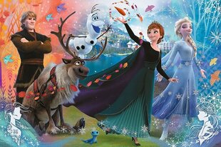 Пазл Trefl Junior Discover the world of Frozen, 160 деталей цена и информация | Пазлы | kaup24.ee