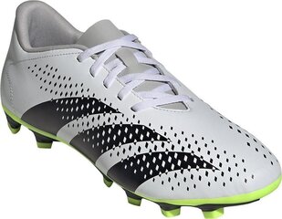 Футбольные бутсы Adidas Predator Accuracy.4 FxG, размер 48, белый/зеленый цвет цена и информация | Футбольные бутсы | kaup24.ee