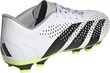 Jalgpallijalatsid Adidas Predator Accuracy.4 FxG, suurus 46 2/3, valge/roheline цена и информация | Jalgpallijalatsid | kaup24.ee