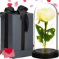 Stabiliseeritud Roos klaasis Springos HA7443 цена и информация | Uinuvad roosid, taimed | kaup24.ee