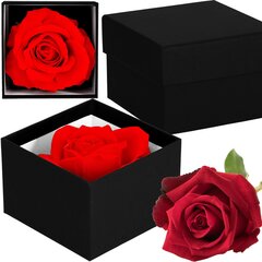 Вечная роза Спрингос HA7447 цена и информация | Спящие стабилизированные розы, растения | kaup24.ee