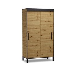 Spinta ADRK Furniture Brig 120, ruda цена и информация | Шкафы | kaup24.ee