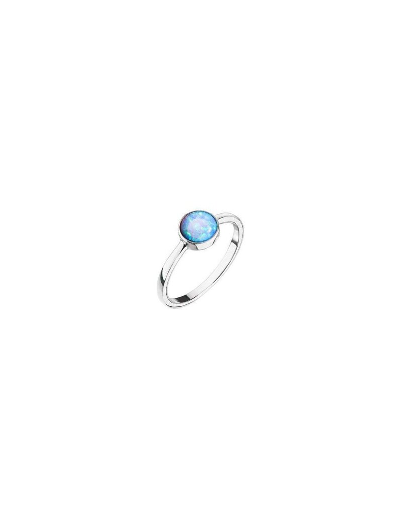 Evolution Group Hõbesõrmus sinise opaaliga 15001,3 lt.sinine hind ja info | Sõrmused | kaup24.ee