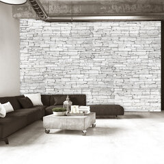 Fototapeet - White Brick hind ja info | Fototapeedid | kaup24.ee