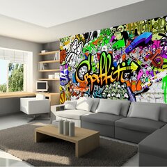 Fototapeet - Graffiti on the Wall цена и информация | Фотообои | kaup24.ee