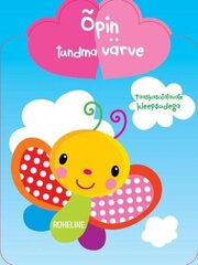 ÕPIN TUNDMA VÄRVE цена и информация | Книги для малышей | kaup24.ee