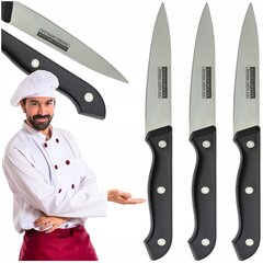 Набор острых кухонных ножей для овощей и фруктов, 3 шт. цена и информация | Ножи и аксессуары для них | kaup24.ee