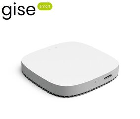 Gise, WiFi gateway, Zigbee Tuya GGT-ZB цена и информация | Системы безопасности, контроллеры | kaup24.ee