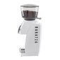 Baratza Vario W+ hind ja info | Kohviveskid | kaup24.ee