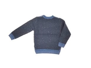Džemper poistele Ronnie Kay цена и информация | Свитеры, жилетки, пиджаки для мальчиков | kaup24.ee