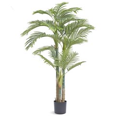 Декоративная пальма, 2 м х 203х1981х1030 мм цена и информация | Искусственные цветы | kaup24.ee