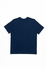 Mужская футболка Champion, синяя цена и информация | Мужские футболки | kaup24.ee