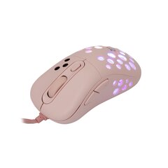 White Shark GM-5013 Azrael Pink цена и информация | Мыши | kaup24.ee