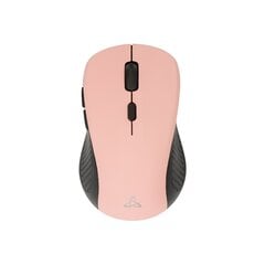 Sbox WM-993 Pink цена и информация | Мыши | kaup24.ee