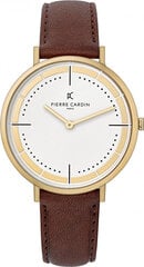 Käekell meestele Pierre Cardin CBV-1031 цена и информация | Мужские часы | kaup24.ee