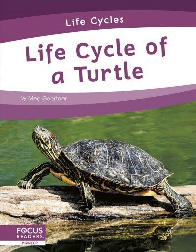 Life Cycles: Life Cycle of a Turtle цена и информация | Noortekirjandus | kaup24.ee