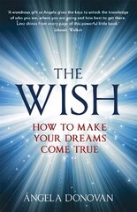 Wish: How to make your dreams come true цена и информация | Самоучители | kaup24.ee