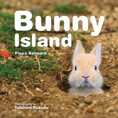 Bunny Island hind ja info | Noortekirjandus | kaup24.ee