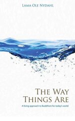 Way Things Are, The A Living Approach to Buddhism цена и информация | Духовная литература | kaup24.ee
