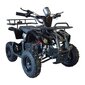 Swoop elektriline ATV Ranger 1000W hind ja info | Laste elektriautod | kaup24.ee