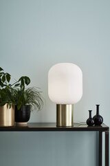 Decohouse ripplamp Aries hind ja info | Laualambid | kaup24.ee