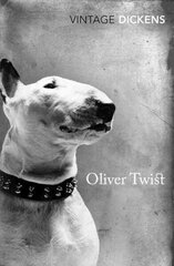 Oliver Twist hind ja info | Noortekirjandus | kaup24.ee