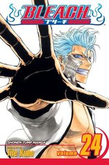 Bleach, Vol. 24 цена и информация | Фантастика, фэнтези | kaup24.ee