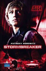 Stormbreaker цена и информация | Книги для подростков и молодежи | kaup24.ee