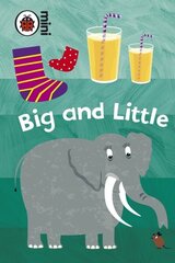 Early Learning: Big and Little цена и информация | Книги для малышей | kaup24.ee