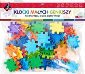 Цветная головоломка, Аскато цена и информация | Конструкторы и кубики | kaup24.ee