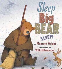 Sleep, Big Bear, Sleep! цена и информация | Книги для подростков и молодежи | kaup24.ee