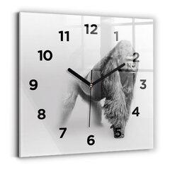 Seinakell Loomakunstide Kogu, 30x30 cm цена и информация | Часы | kaup24.ee