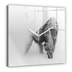 Seinakell Loomakunstide Kogu, 30x30 cm цена и информация | Часы | kaup24.ee