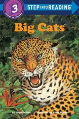 Big Cats hind ja info | Noortekirjandus | kaup24.ee