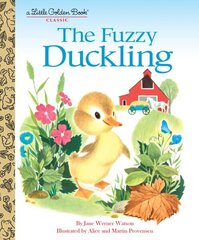 Fuzzy Duckling цена и информация | Книги для малышей | kaup24.ee