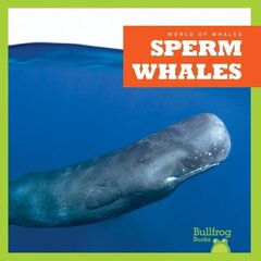 Sperm Whales цена и информация | Книги для подростков и молодежи | kaup24.ee