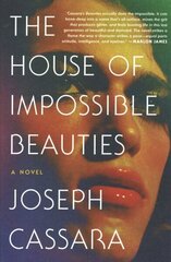 House of Impossible Beauties цена и информация | Фантастика, фэнтези | kaup24.ee