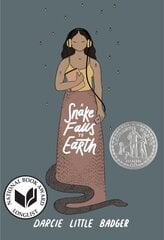 Snake Falls to Earth цена и информация | Книги для подростков и молодежи | kaup24.ee