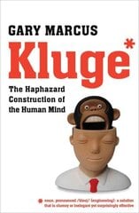Kluge Main цена и информация | Книги по экономике | kaup24.ee