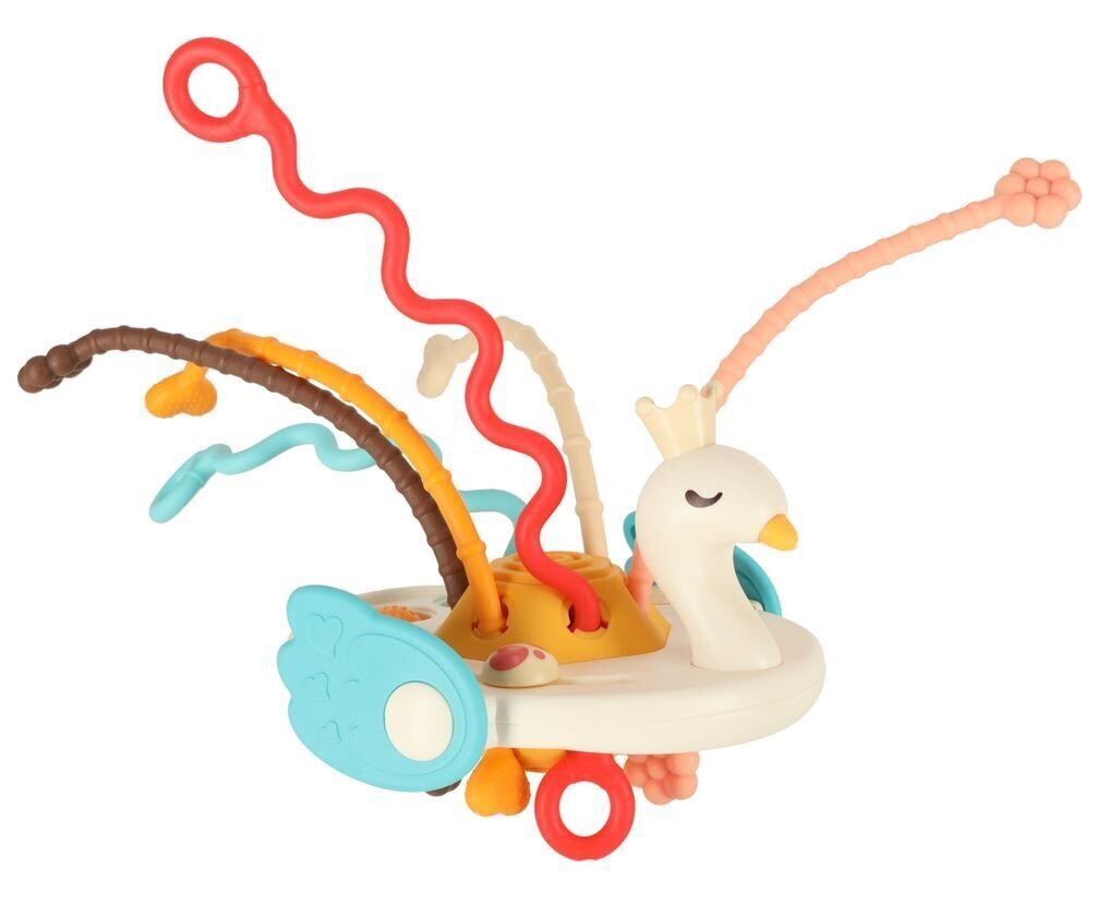 Montessori sensoorne mänguasi - närimislelu Luik hind ja info | Imikute mänguasjad | kaup24.ee