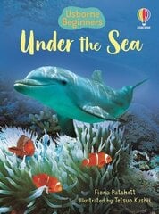 Under the Sea hind ja info | Noortekirjandus | kaup24.ee