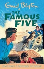 Famous Five: Five Have A Mystery To Solve: Book 20 цена и информация | Книги для подростков и молодежи | kaup24.ee