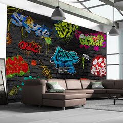 Fototapeet - Graffiti wall цена и информация | Фотообои | kaup24.ee