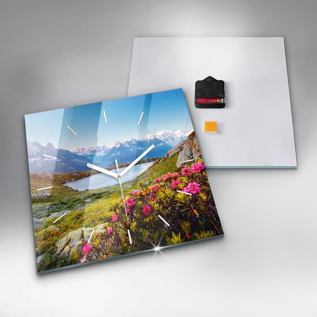 Seinakell Mont Blanc Chamonix Liustik, 30x30 cm цена и информация | Kellad | kaup24.ee